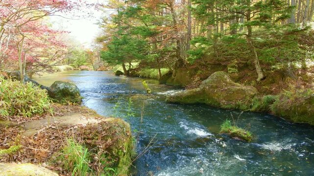 栃木県日光市　秋の紅葉に染まる奥日光を流れる湯川