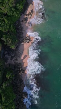 Shimmering emerald seascape with vibrant plant life surrounding rugged shoreline. Bright green waters swirl vigorously around jagged rocks amid abundant plant coverage, vertical video of Bali coast