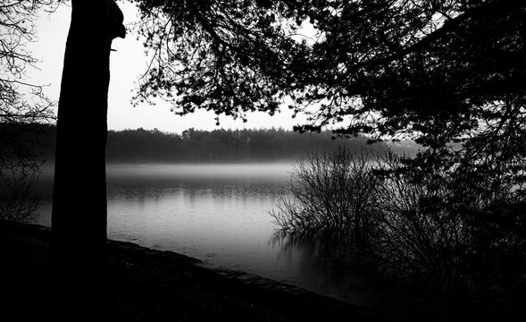 Winter mist settles upon Swinsty Reservoir near Harrogate, North Yorkshire, United Kingdom - black and white version