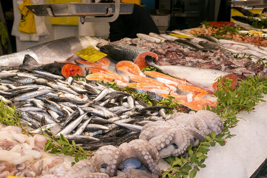 fish dishes with freshly caught fish from a seaside fishmonger's
