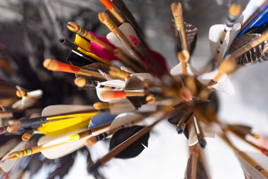 Colorful feather fletchings of traditional archery arrows bundled together in a quiver for target sport