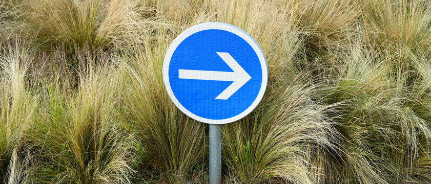 Panneau routier rond avec une fl&egrave;che blanche sur fond bleu, indiquant la direction &agrave; prendre &agrave; droite, centr&eacute; devant un parterre de gramin&eacute;es, format banni&egrave;re