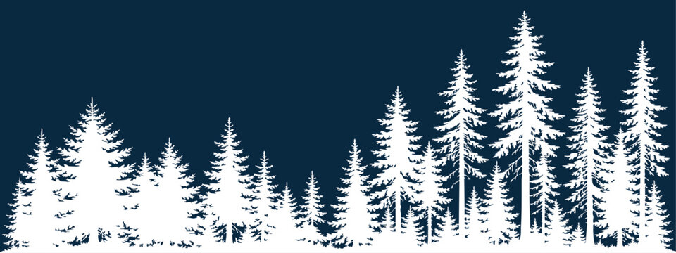 Snowy conifer forest silhouette with tall trees