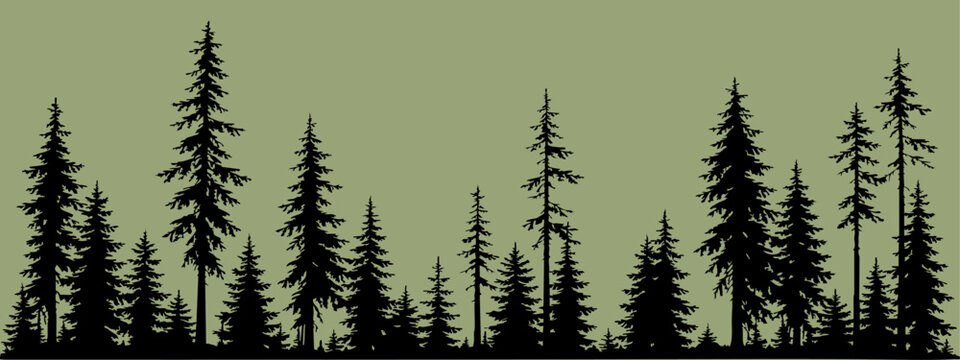Black conifer tree silhouette on muted olive green background