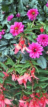Blumenbukett