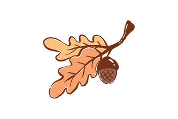 Charming hand drawn autumn oak leaves branch with ripe brown acorn illustration graphic Design © Lemon