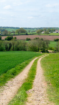 A rural dirt road winding through green fields and hills in the countryside