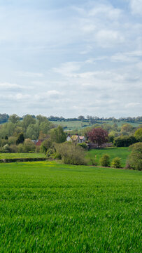 A picturesque rural landscape with green hills, trees, and flowering bushes in the foreground under a cloudy sky