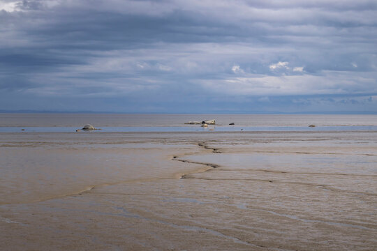 Beach in Homer, Alaska