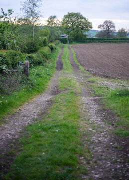 A picturesque dirt country road winding between green hedgerows and fields under a cloudy sky