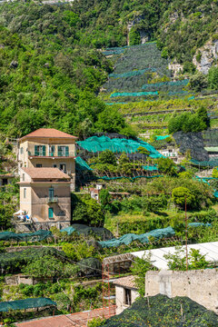 Scenic summer sight in Amalfi with lemon cultivation, Province of Napoli, Campania, Italy.