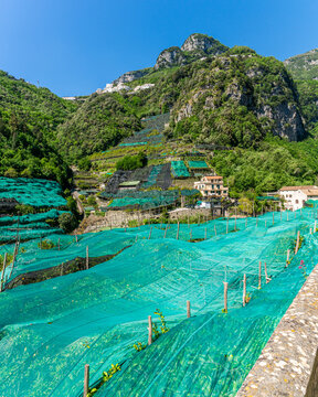 Scenic summer sight in Amalfi with lemon cultivation, Province of Napoli, Campania, Italy.