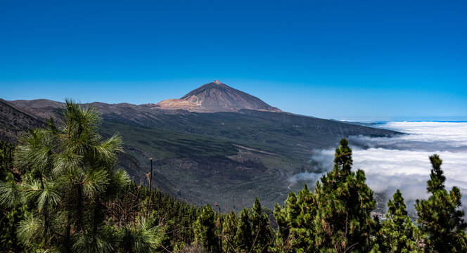 View of Mount Teide and the La Orotava Valley with a sea of clouds, from the Chipeque lookout point. Tenerife, Canary Islands, Spain