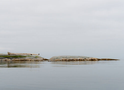 Canada, BC, Broughton Archipelago.  White Cliff Island in the Queen Charlotte Strait