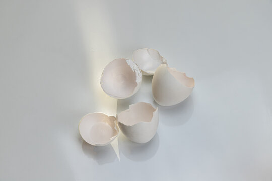Close up macro of broken white eggshell fragments on a white surface.