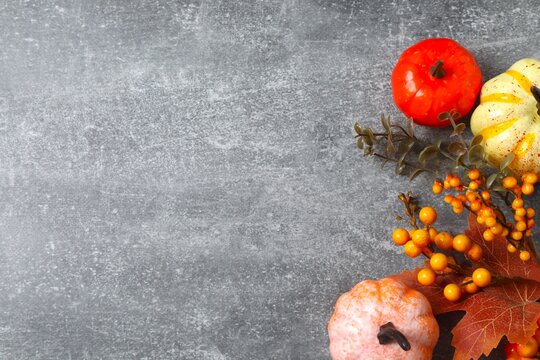 Festive autumn arrangement featuring pumpkins, leaves, berries against a grey background. Design for Thanksgiving greeting cards