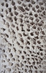 Biała ściana o oryginalnym tynku strukturalnym jak gąbka. A white wall with a distinctive textured plaster finish.  © 123108 Aneta