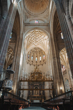 Gothic vaults and gilded grille inside Segovia Cathedral