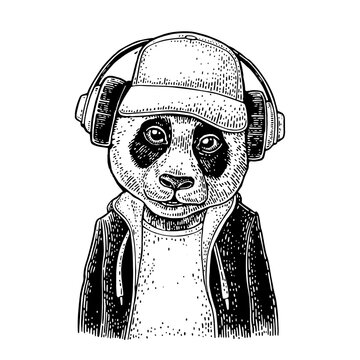 Giant panda character wearing baseball cap and headphones in hoodie hand drawn vintage engraving style isolated on white background. Black and white vector clip art illustration.