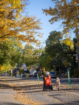 Triporteur accompagn&eacute; d'un chien sur piste cyclable en automne, jour, vertical