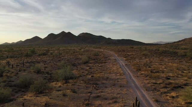 Desert landscape with dirt road and distant mountains at sunset