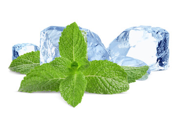 Green mint leaves and ice isolated on white. Menthol © New Africa