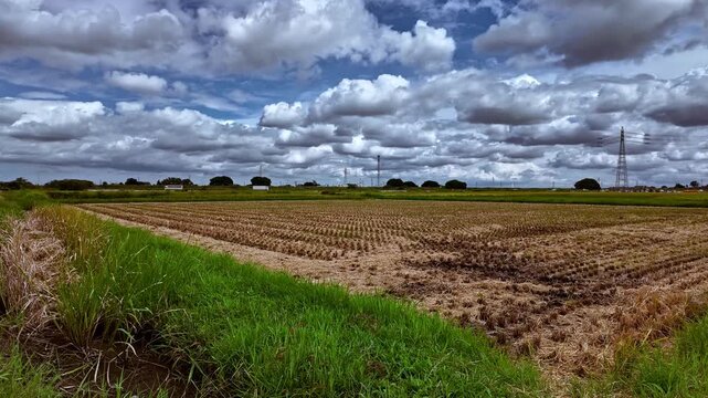 Time-lapse of white clouds moving fast across a blue sky over harvested rice fields in rural Japan during autumn, dynamic agricultural landscape.