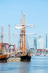 Historic sailing ships with tall masts moored in a harbor, with calm blue water and a modern city skyline in the background. Traditional vessels and maritime heritage in an urban waterfront setting. © Svitlana