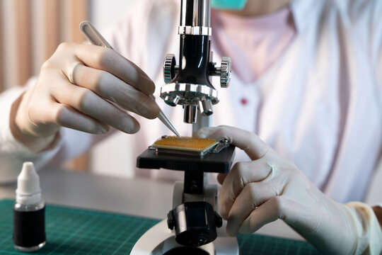 Female lab worker using microscope and tweezers to analyze semiconductor microchip for artificial intelligence