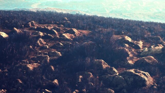 Rocky ground is present with patches of dark, burnt vegetation. The scene shows distant hills under clear skies. This location highlights the impact of a past fire on the landscape.