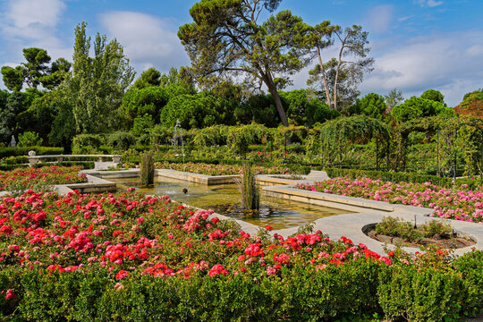Rosengarten im Parque del Retiro, Madrid