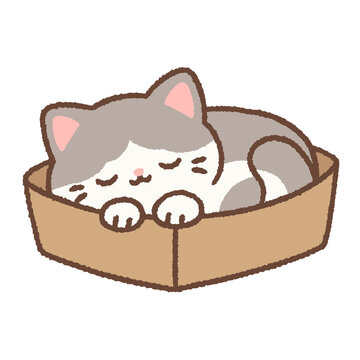 Cute grey and white cat sleeping in cardboard box mascot hand drawn illustration clipart png isolated on transparent background