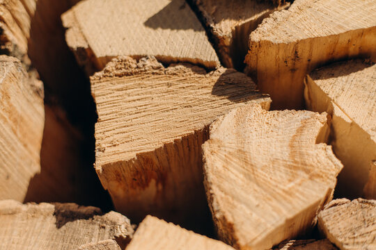 Firewood stacked for heating and cooking fuel