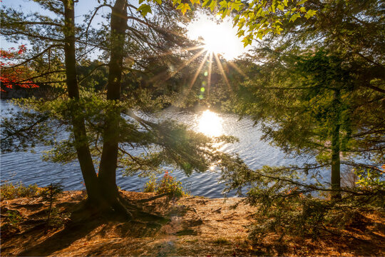 Sunlight beams through trees by Kakakise Lake in Killarney Provincial Park, Ontario, creating a serene morning scene on The Crack Trail.