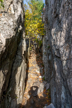 View of a rocky crevice known as The Crack in Killarney Provincial Park, Ontario, showcasing vibrant autumn foliage.