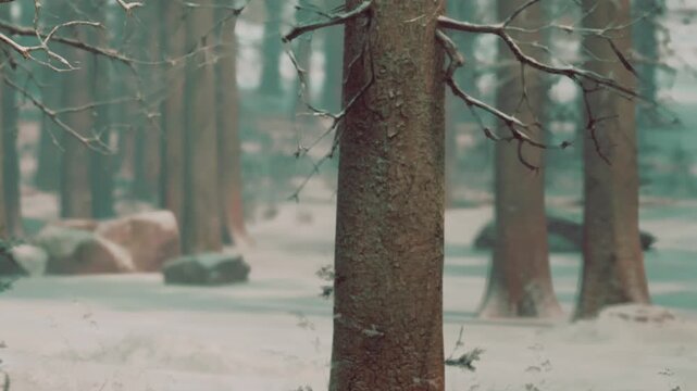 A serene forest scene during winter, where delicate snowflakes fall softly among tall, bare trees. The quiet beauty invites a moment of stillness in natures embrace.