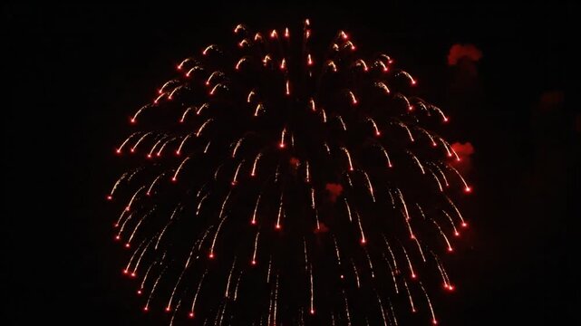 Fireworks Exploding in Dark Sky.