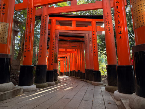 View of Fushimi Inari Taisha with its iconic rows of vibrant orange torii gates lining a stone path in a forest setting in Kyoto, Kyoto, Japan.