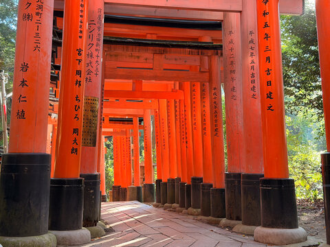 View of Fushimi Inari Taisha with rows of iconic vermilion torii gates lining a stone pathway in a forest setting in Kyoto, Kyoto, Japan.