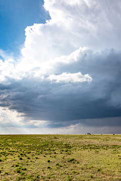 View of a vast grassy plain under a dramatic, dark storm cloud with heavy rain and turbulent sky, World.