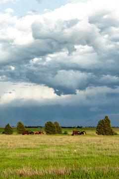 View of old rusted tractors in a grassy field under a dramatic dark storm sky in Oklahoma City, Oklahoma, United States.