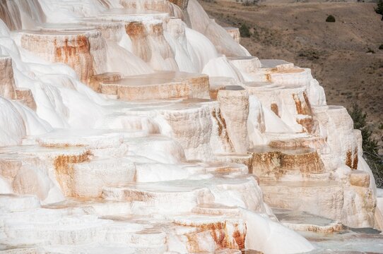 Sinter terraces with calcareous tuff deposits, hot springs, colorful mineral deposits, Palette Springs, Lower Terraces, Mammoth Hot Springs, Yellowstone National Park, Wyoming, USA