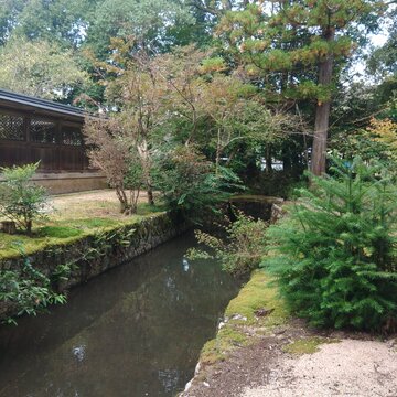 The  Japanese shrine mote 