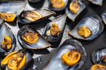 Many opened mussels with glossy blue black shells and plump orange meat rest on a wet dark tray, a close look at shellfish farming and sustainable marine harvest. © Masarik