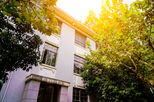 Vintage Chinese style campus building surrounded by green plane trees in warm sunlight