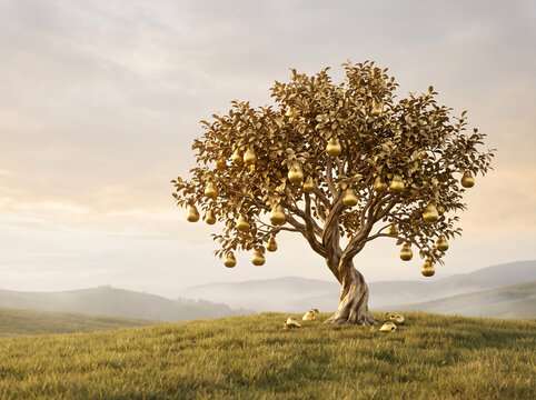 Arbre magique produisant des fruits dor&eacute;s dans les collines