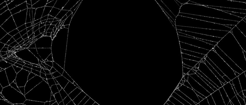Real frost covered spider web border frame. Authentic broken spiders web for an ominous haunted atmosphere. Eerie silhouette of a real dusty cobweb for a scary spooky Halloween backgrounds overlay.