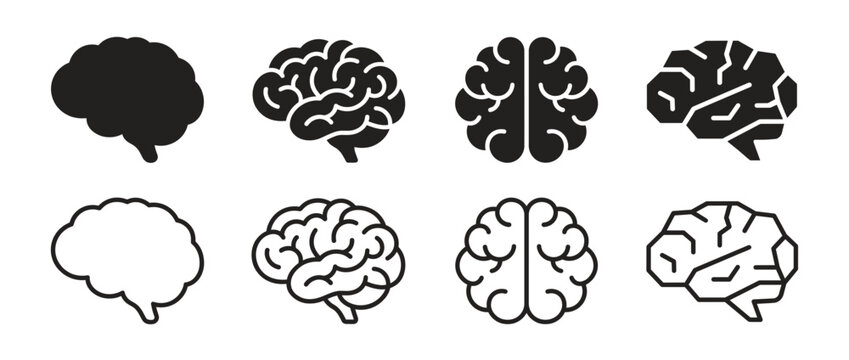 Brain diagrams in black and white isolated on transparent background. Human brain anatomy illustrations. Cerebral cortex, frontal lobe, parietal lobe, occipital lobe, temporal lobe. Medical vector.
