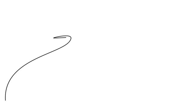 Animated Continuous Line Drawing of "Thank You" Text in Minimalist Script Style