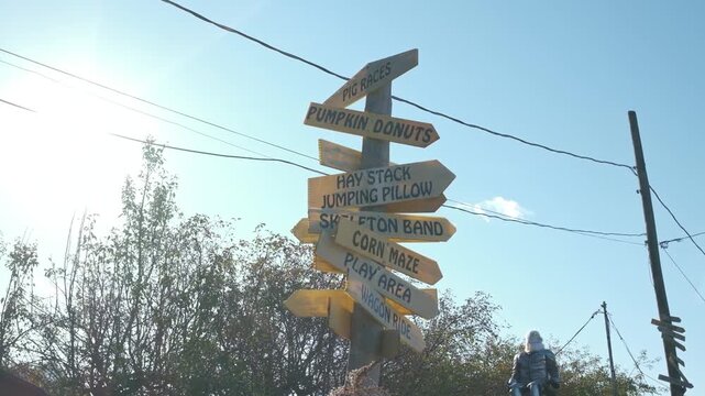 Pumpkin Patch Signs